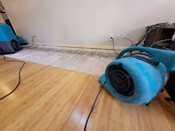 Professional Structural Drying technician working in Conway, AR